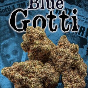 Blue Gotti strain for sale Blue Gotti strain for sale free shipping Buy Backpack boyz Strain Online colorado dispensaries that ship nationwide most trusted online dispensary