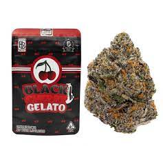 best cherry gelato for sale Buy Black Cherry Gelato Strain For Sale buy Black Cherry Gelato sale Black Cherry Gelato strain for  sale Buy black cherry gelato backpackboyz online