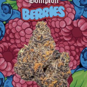 Buy bompton berrie strain online Buy Bompton Berries Online Online dispensary that ships to all states Same day weed delivery near me Highest pharmacy weed delivery